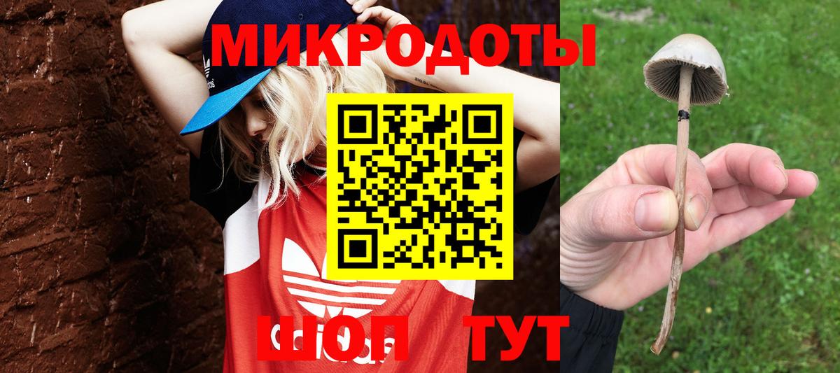 Галлюциногенные грибы прущие грибы  Псилоцибиновые грибы Magic Shrooms  Мыски  Вход с VPN 